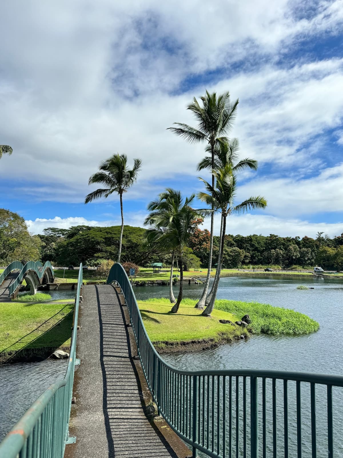 Condo in Hilo · ★4.6 · Studio · 1 bed · 1 private bath - Photo 5