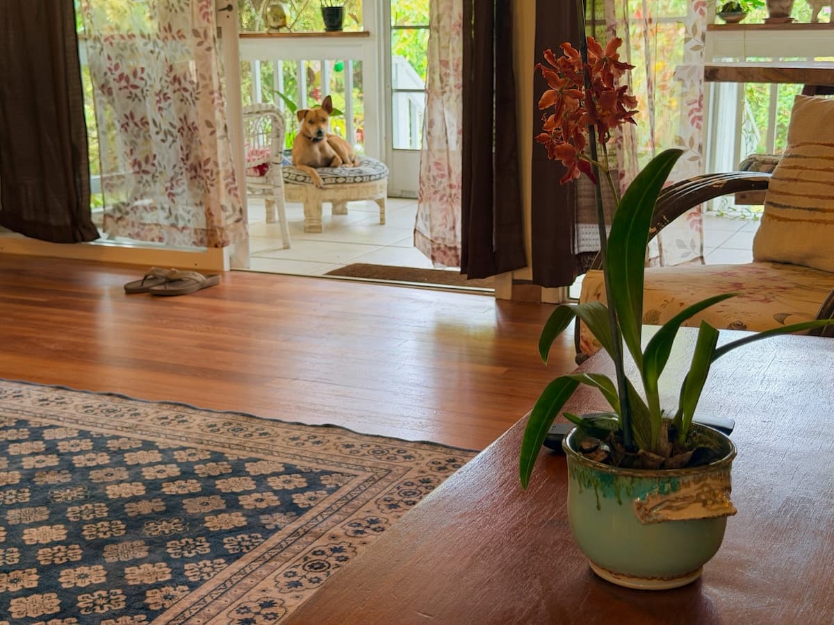 Home in Keaau · ★4.76 · 3 bedrooms · 3 beds · 2 shared baths - Photo 5