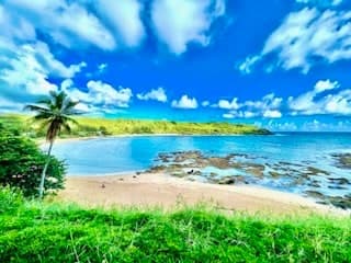 Relax & Unwind Escape Oceanfront Epic TVR1328 - Photo 2