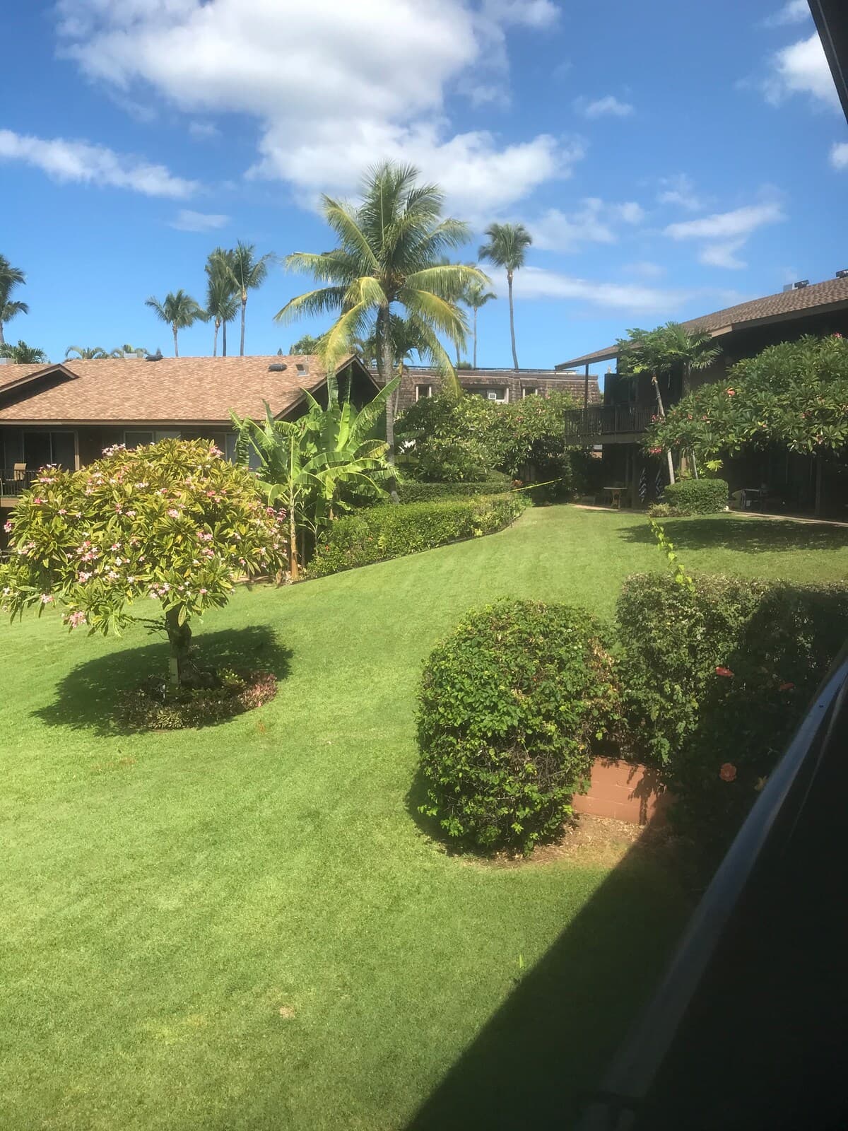 Condo in Lahaina · ★4.57 · 2 bedrooms · 3 beds · 2 private baths - Photo 3