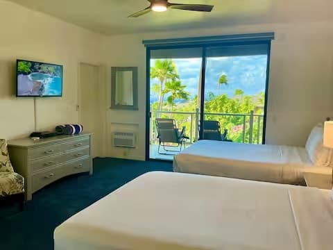 Wailea Ocean View Studio - Photo 1