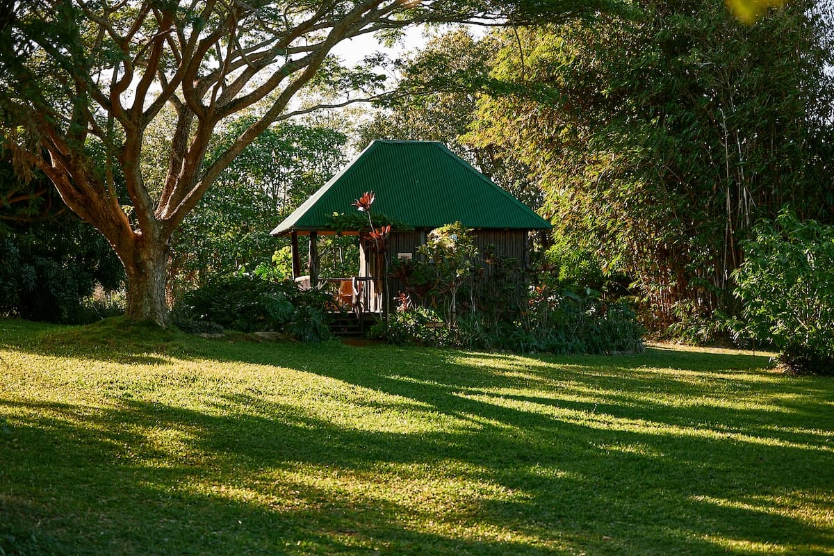Cabin in Kapaau · ★4.93 · 1 bedroom · 1 bed · 1 shared bath - Photo 2