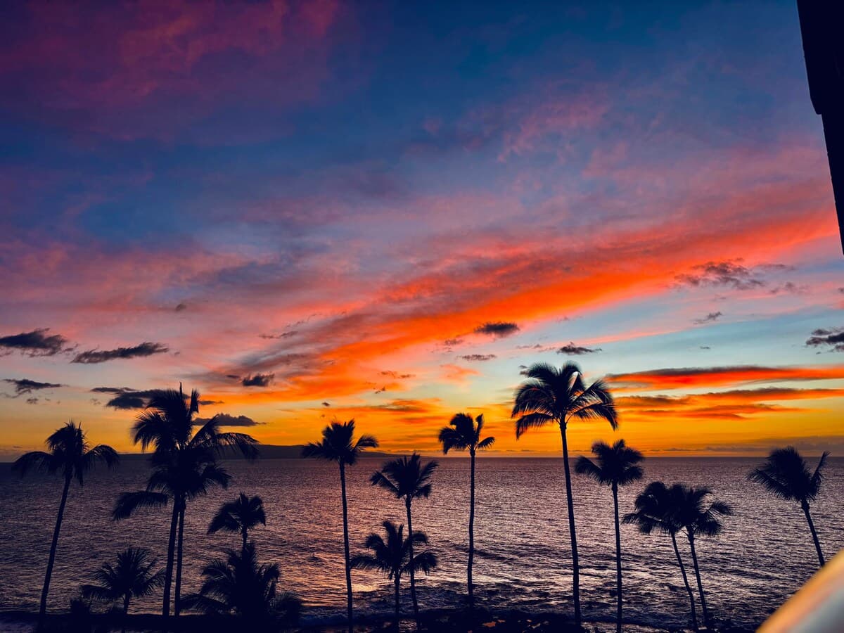 Condo in Kihei · ★4.95 · Studio · 2 beds · 1 private bath - Photo 5
