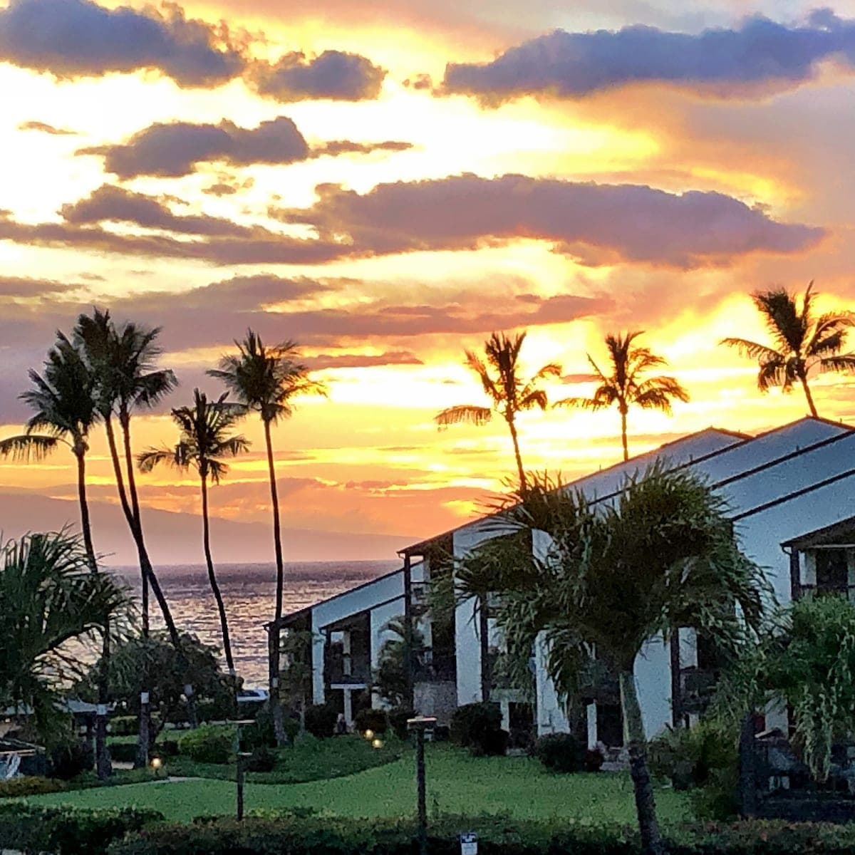Condo in Kihei · ★4.87 · 1 bedroom · 2 beds · 1 private bath - Photo 3