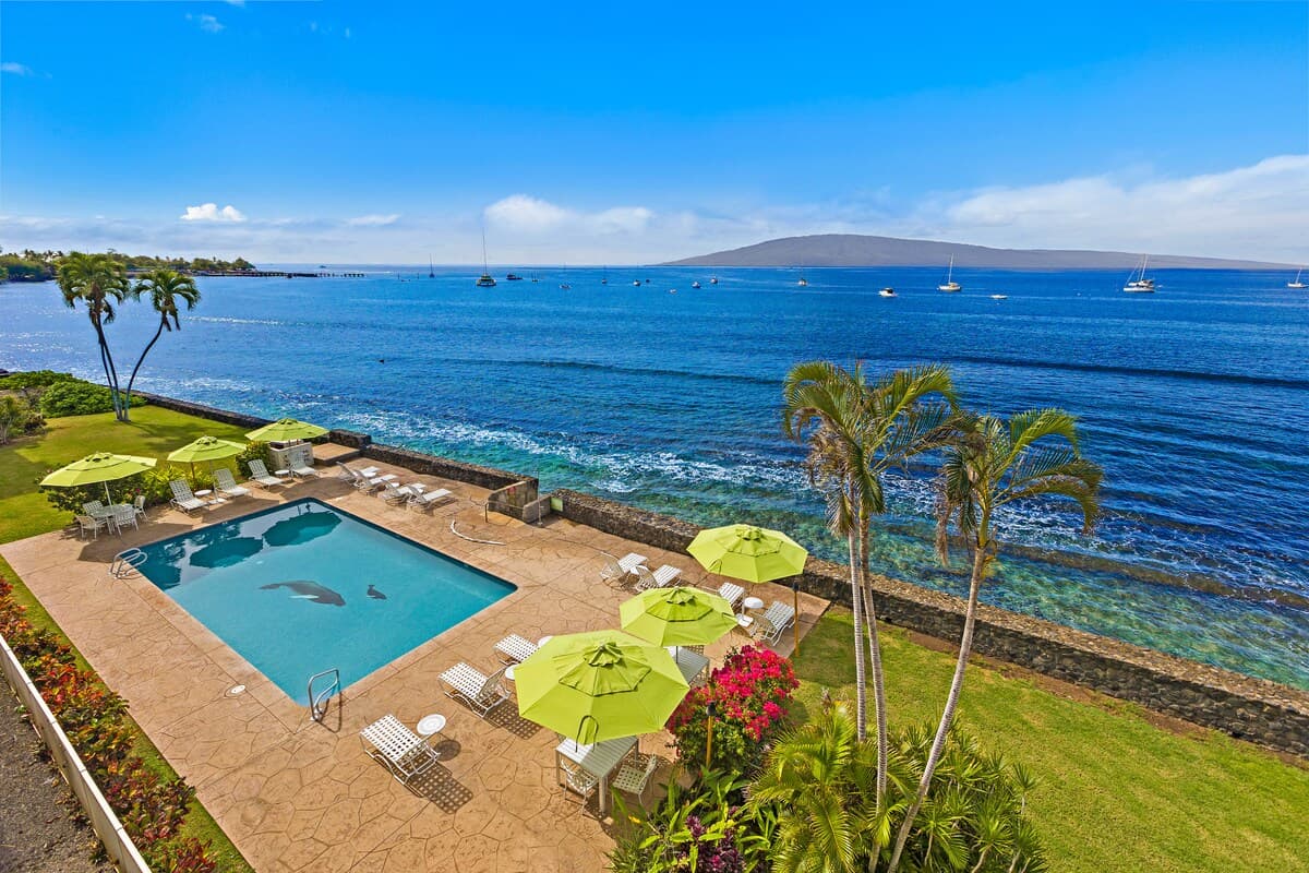Condo in Lahaina · ★4.96 · 1 bedroom · 2 beds · 1 bath - Photo 2