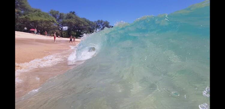 Condo in Kihei · ★4.84 · 1 bedroom · 1 bed · 1 bath - Photo 2