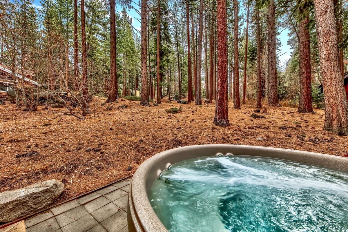 Quiet Forest Home, Hot Tub, Walk to Heavenly Lodge - Photo 3