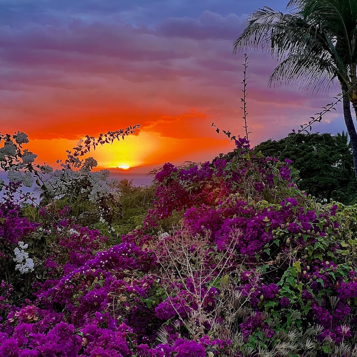 Condo in Kihei · ★4.98 · 2 bedrooms · 4 beds · 2 baths - Photo 3