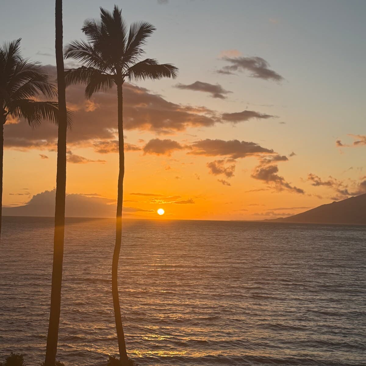 Condo in Kihei · ★4.98 · 2 bedrooms · 4 beds · 2 baths - Photo 4
