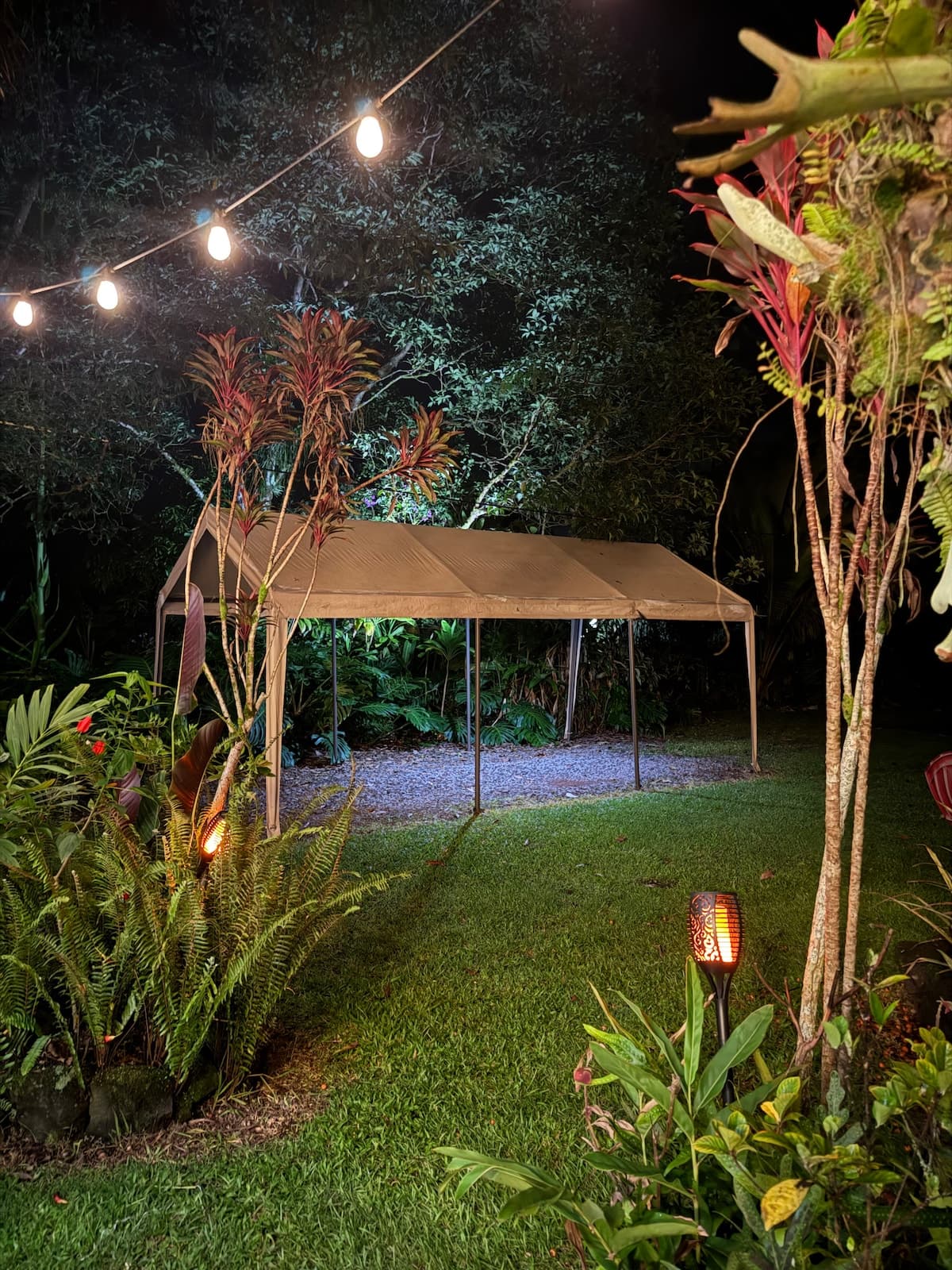 Home in Keaau · ★4.96 · 2 bedrooms · 3 beds · 1 private bath - Photo 4