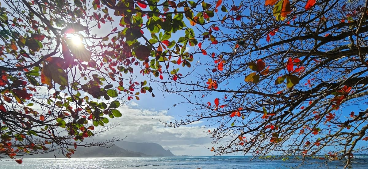 Condo in Princeville · ★4.85 · 3 bedrooms · 3 beds · 2 private baths - Photo 3