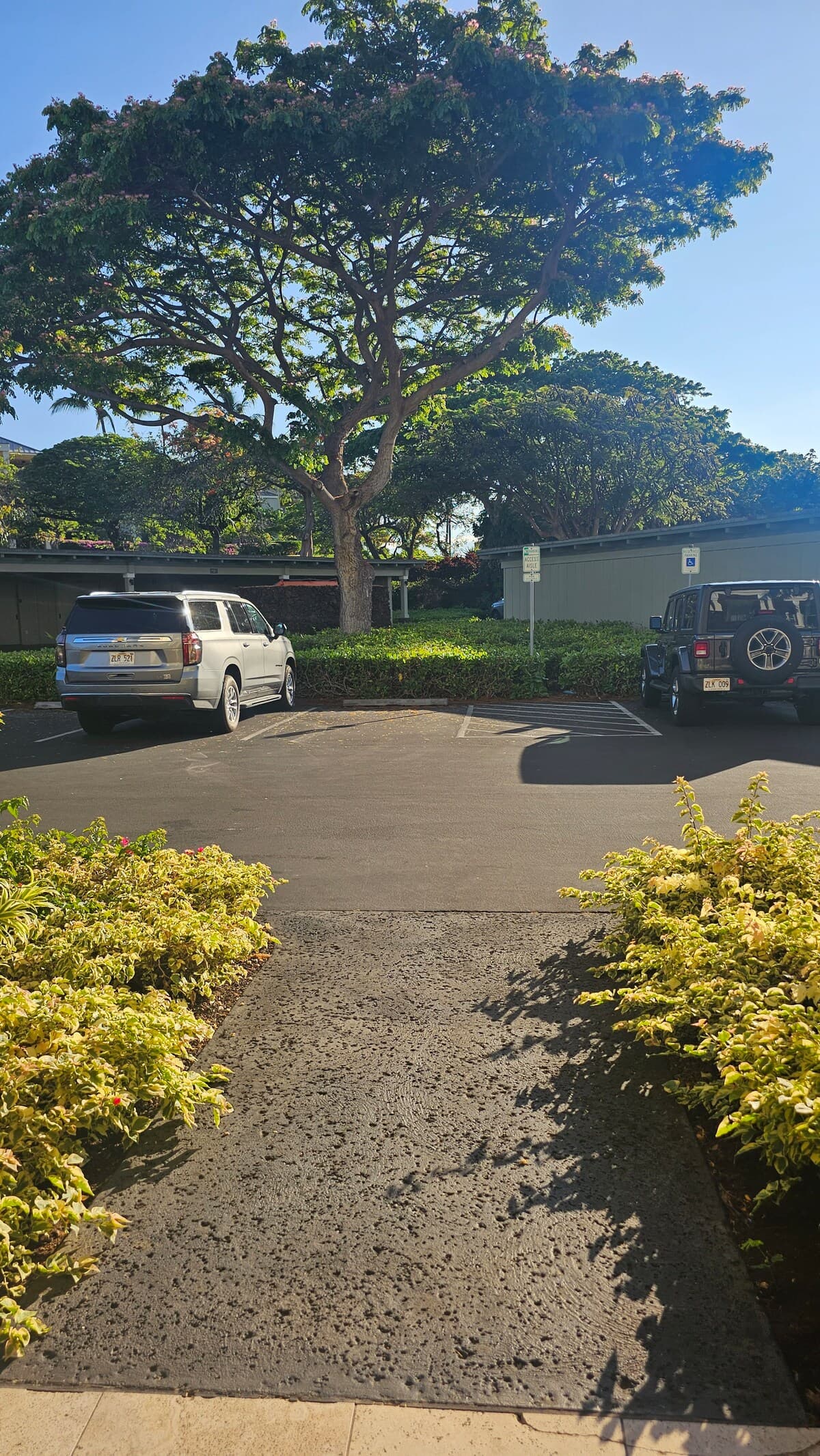 Villa in Waikoloa Village · ★4.98 · 2 bedrooms · 4 beds · 2 baths - Photo 3