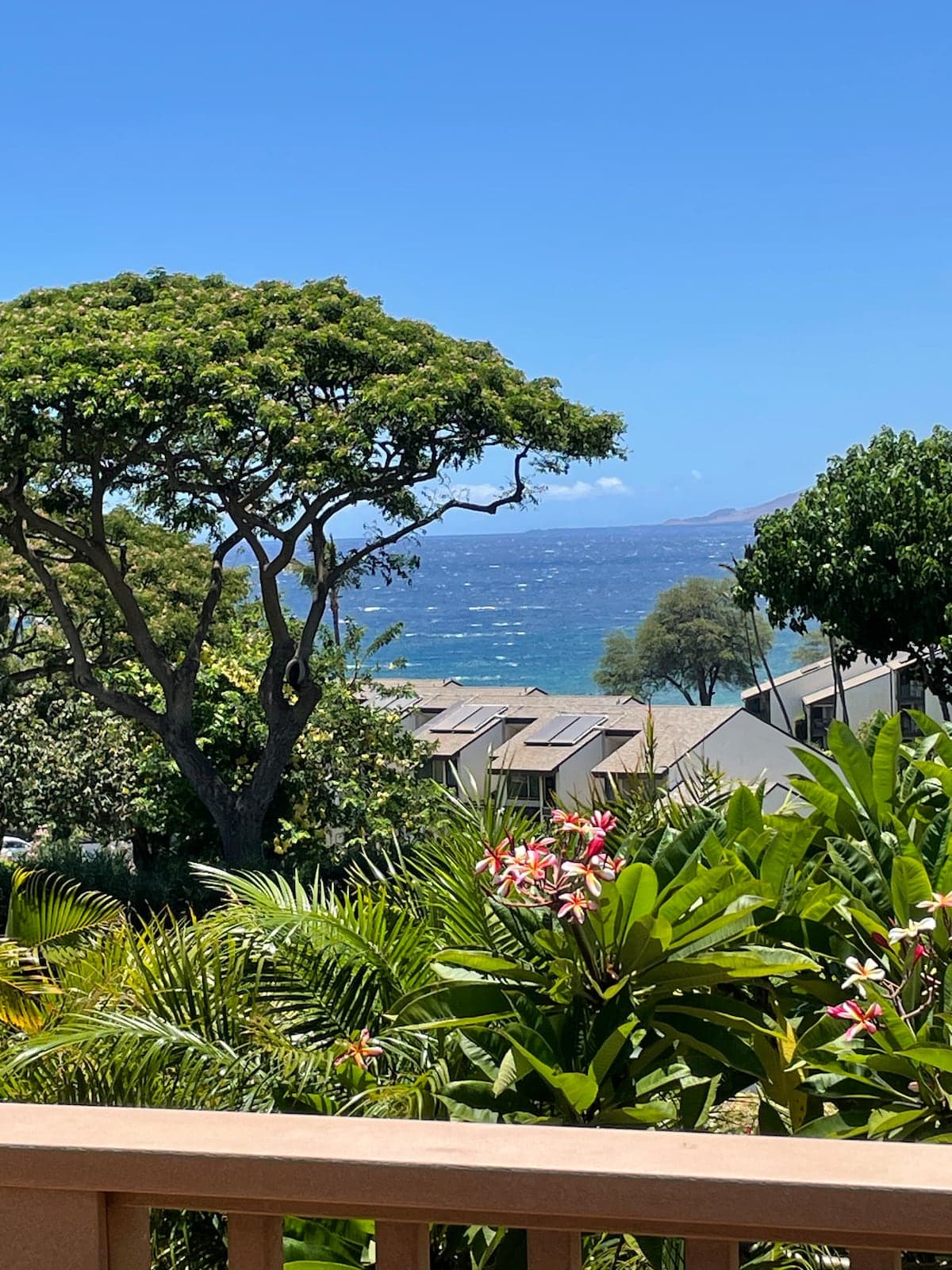 Condo in Kihei · ★4.97 · 2 bedrooms · 3 beds · 2 baths - Photo 1