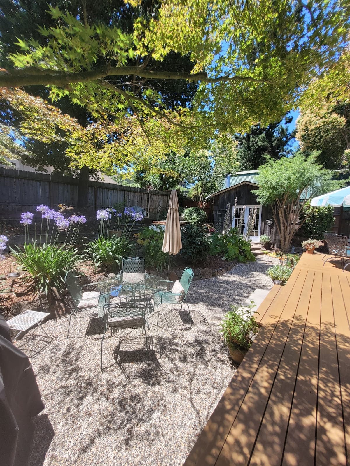 1926 Craftsman Gem, Walk to Downtown Napa - Photo 3