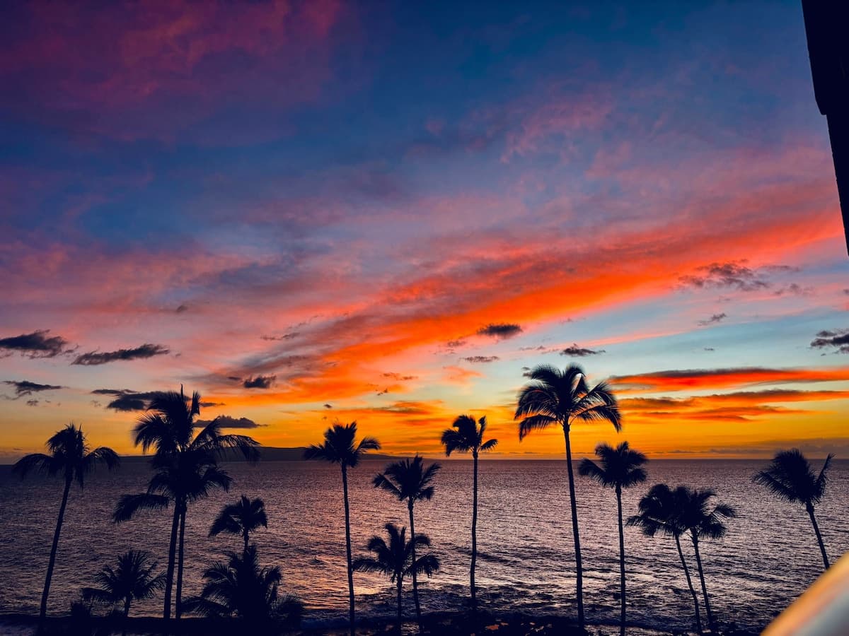 Condo in Kihei · ★4.93 · Studio · 2 beds · 1 private bath - Photo 3