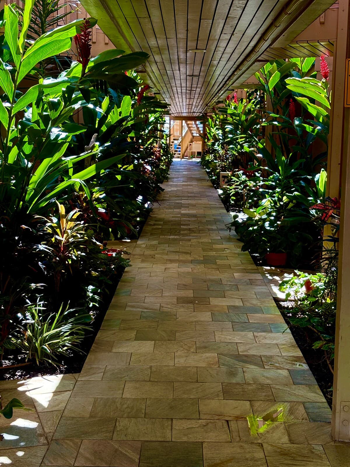 Condo in Kihei · ★4.98 · 1 bedroom · 1 bed · 1 bath - Photo 3