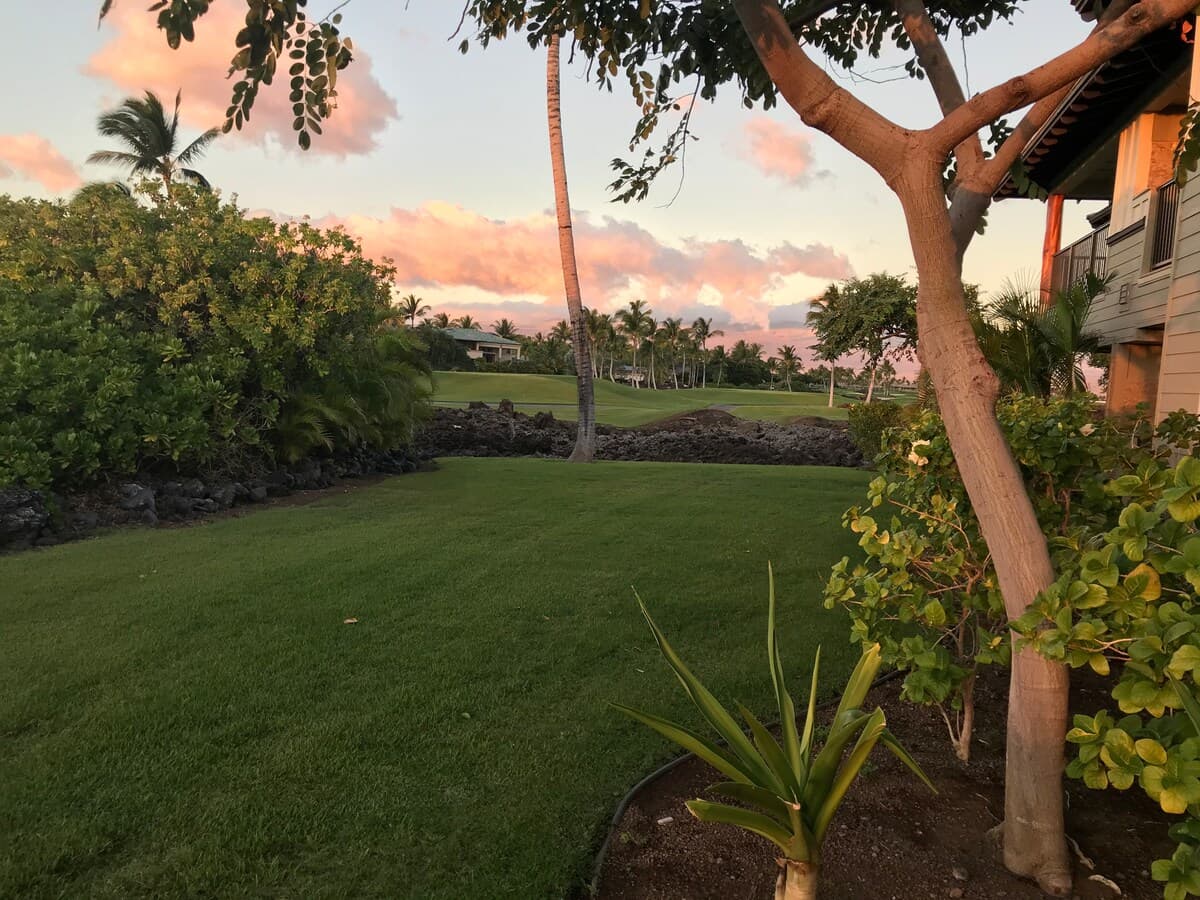 Condo in Waimea · ★4.83 · 2 bedrooms · 2 beds · 2 baths - Photo 3