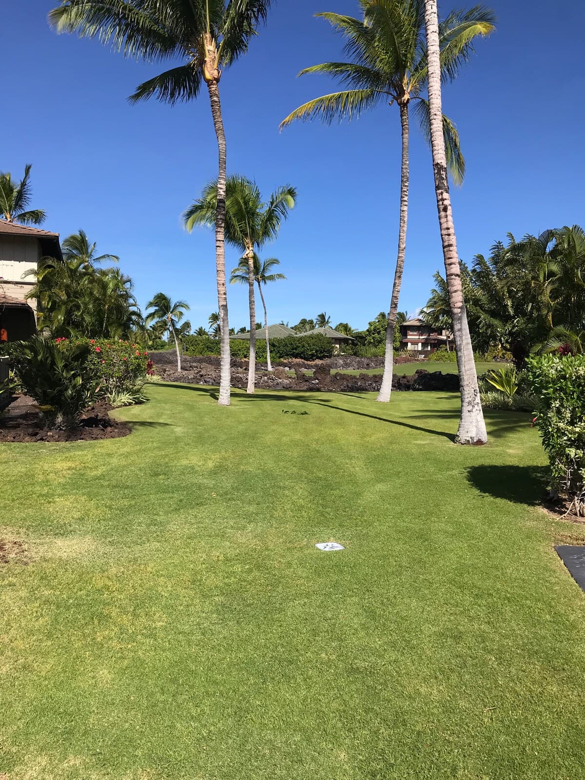 Condo in Waimea · ★4.83 · 2 bedrooms · 2 beds · 2 baths - Photo 4