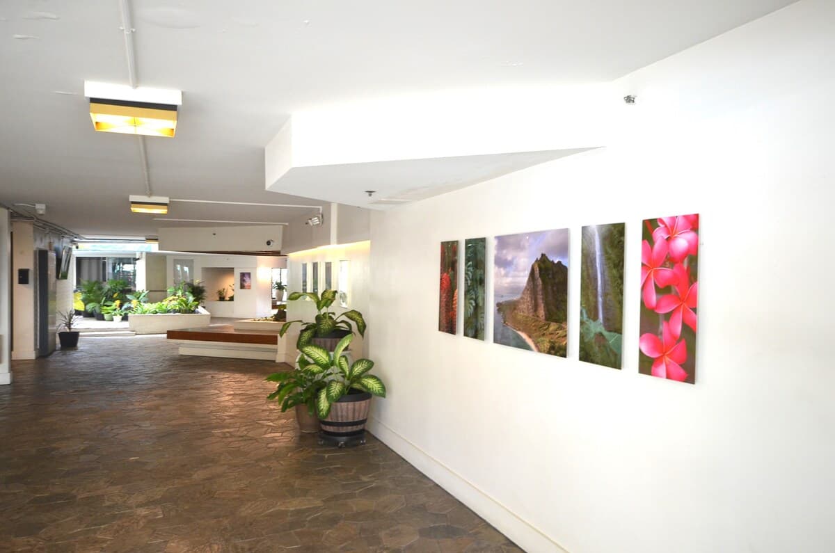 Condo in Honolulu · ★4.54 · Studio · 1 bed · 1 private bath - Photo 3