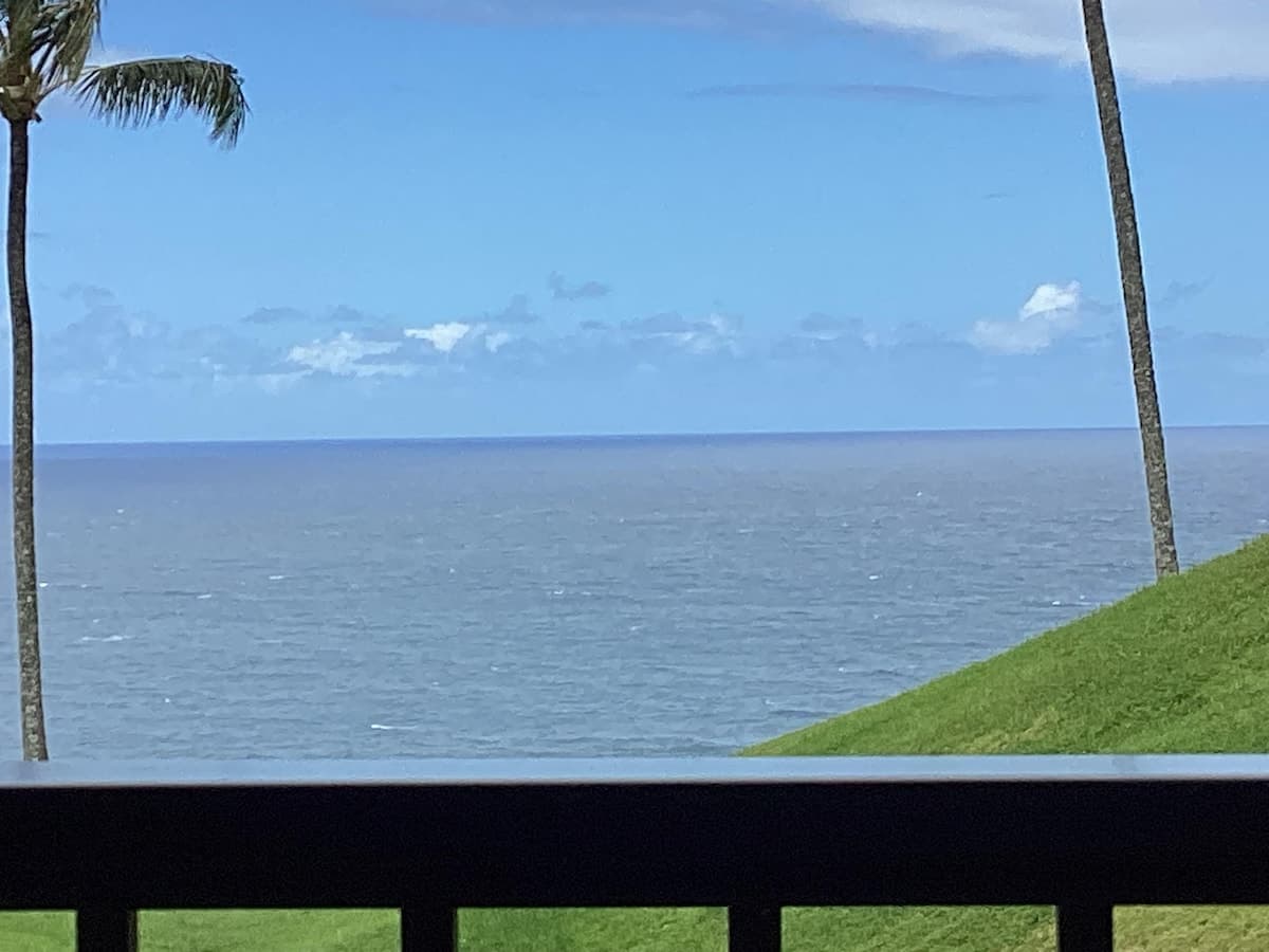 Condo in Princeville · ★4.44 · 1 bedroom · 1 bed · 1 bath - Photo 5