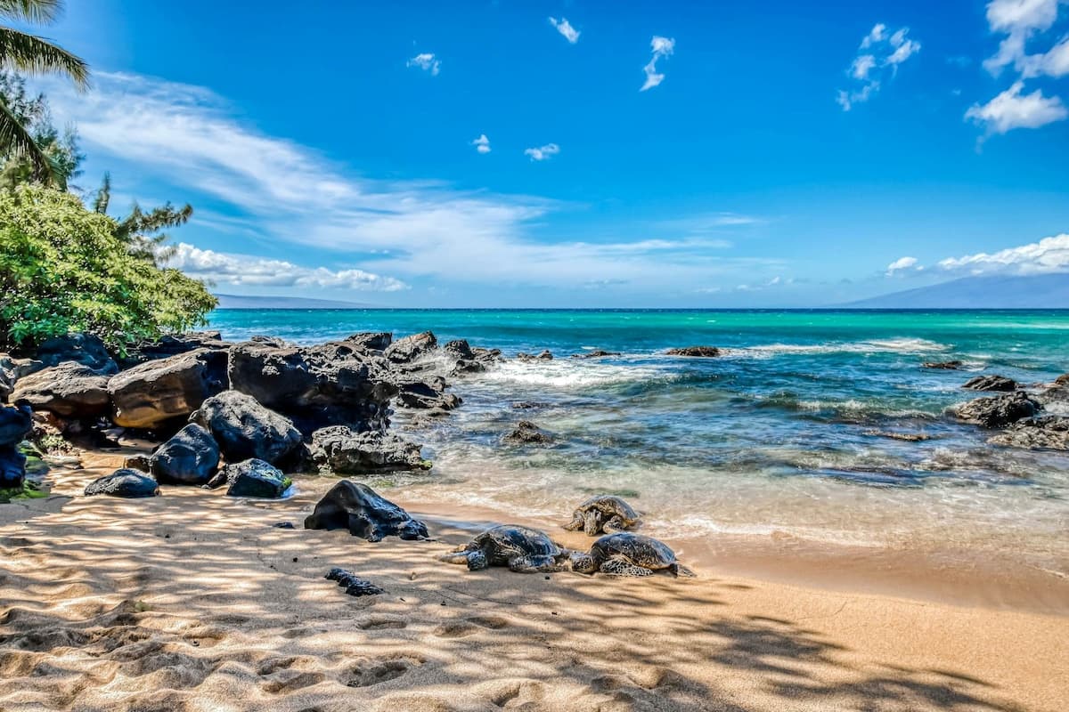 Dreamy 1BR Oceanfront 1st-Floor | Patio | Pool - Photo 2