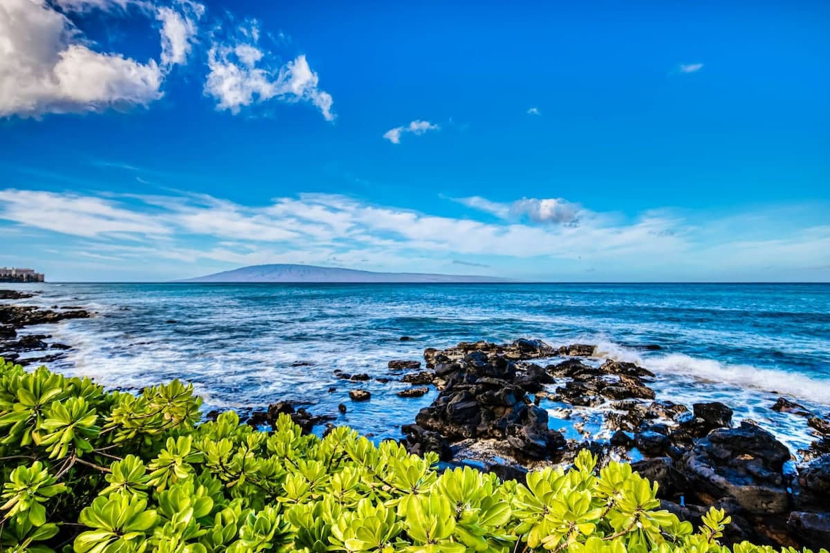 1BR Oceanfront | 1st-Floor | Pool | Fast WiFi - Photo 2