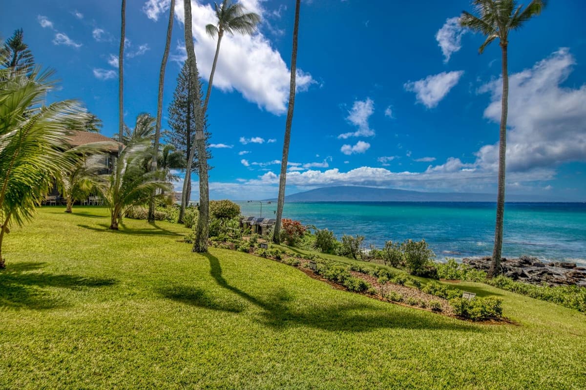 Condo in Lahaina · ★4.69 · 1 bedroom · 1 bed · 1 shared bath - Photo 4