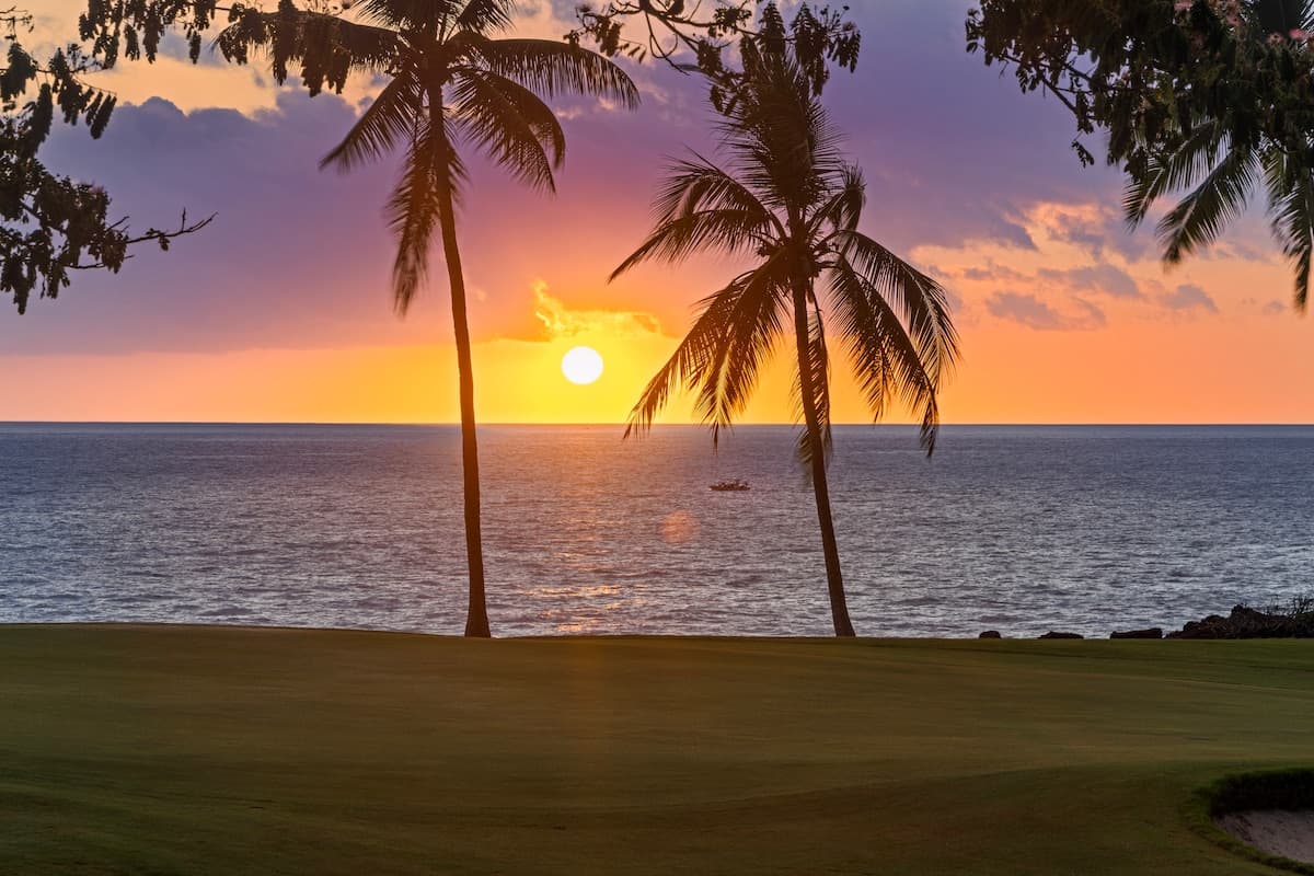 Home in Kailua-Kona · ★4.98 · 3 bedrooms · 4 beds · 3.5 baths - Photo 3