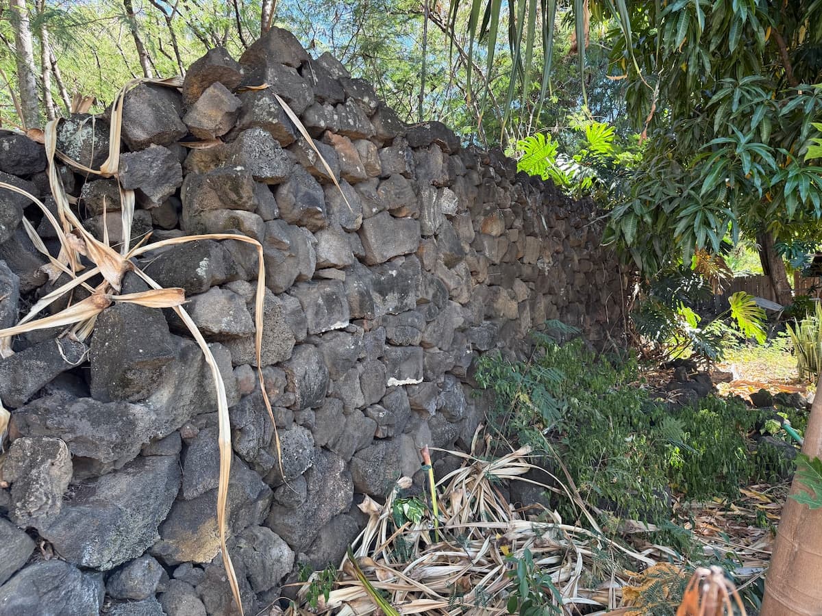 Quiet Peaceful Apt. ML2 w/large Lanai in Kona town - Photo 5