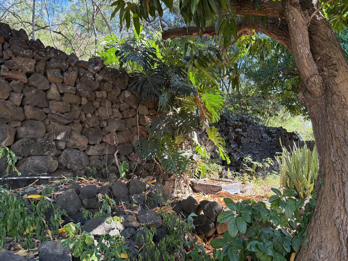 Quiet Peaceful Apt. ML2 w/large Lanai in Kona town - Photo 4