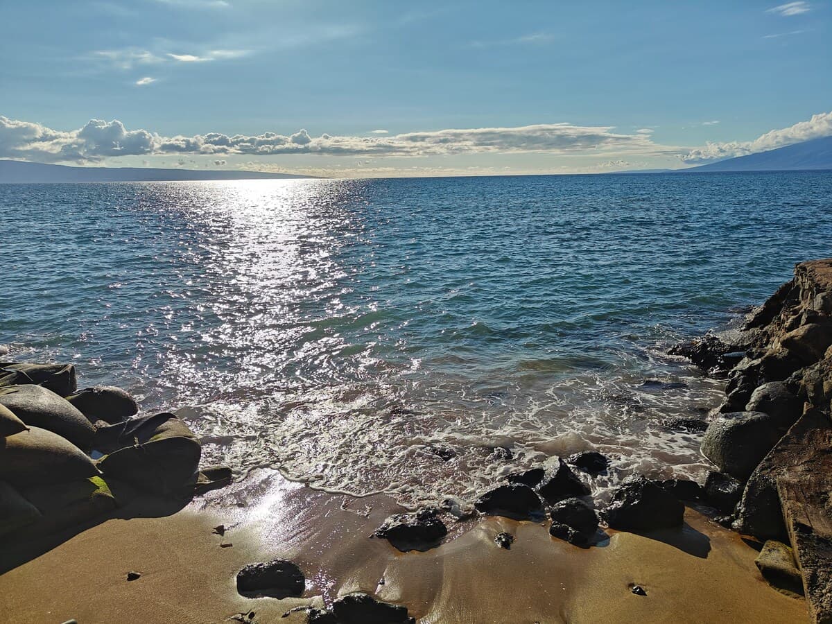 Condo in Lahaina · ★4.94 · Studio · 1 bed · 1 bath - Photo 3
