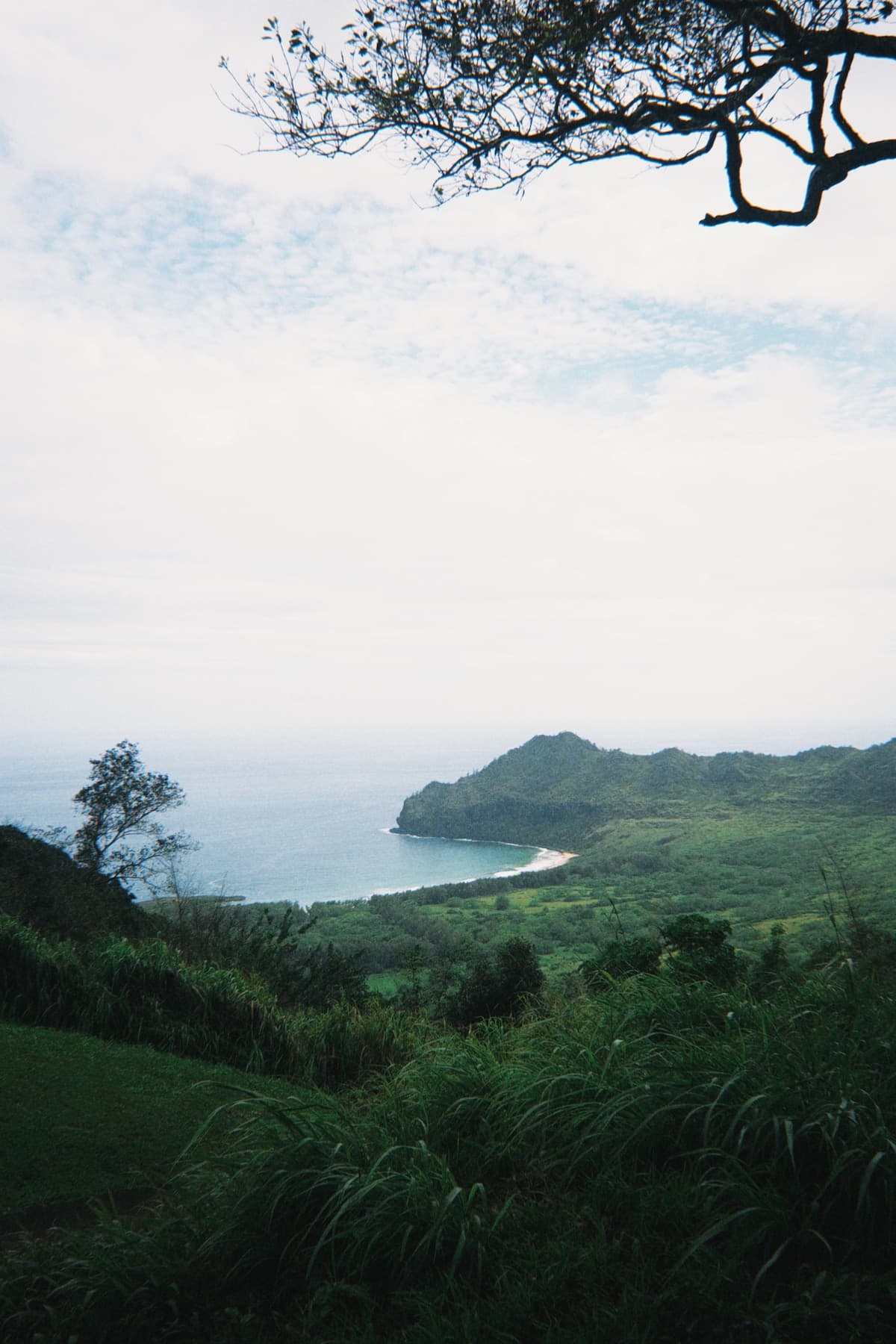 Condo in Princeville · ★4.67 · Studio · 2 beds · 1 private bath - Photo 4