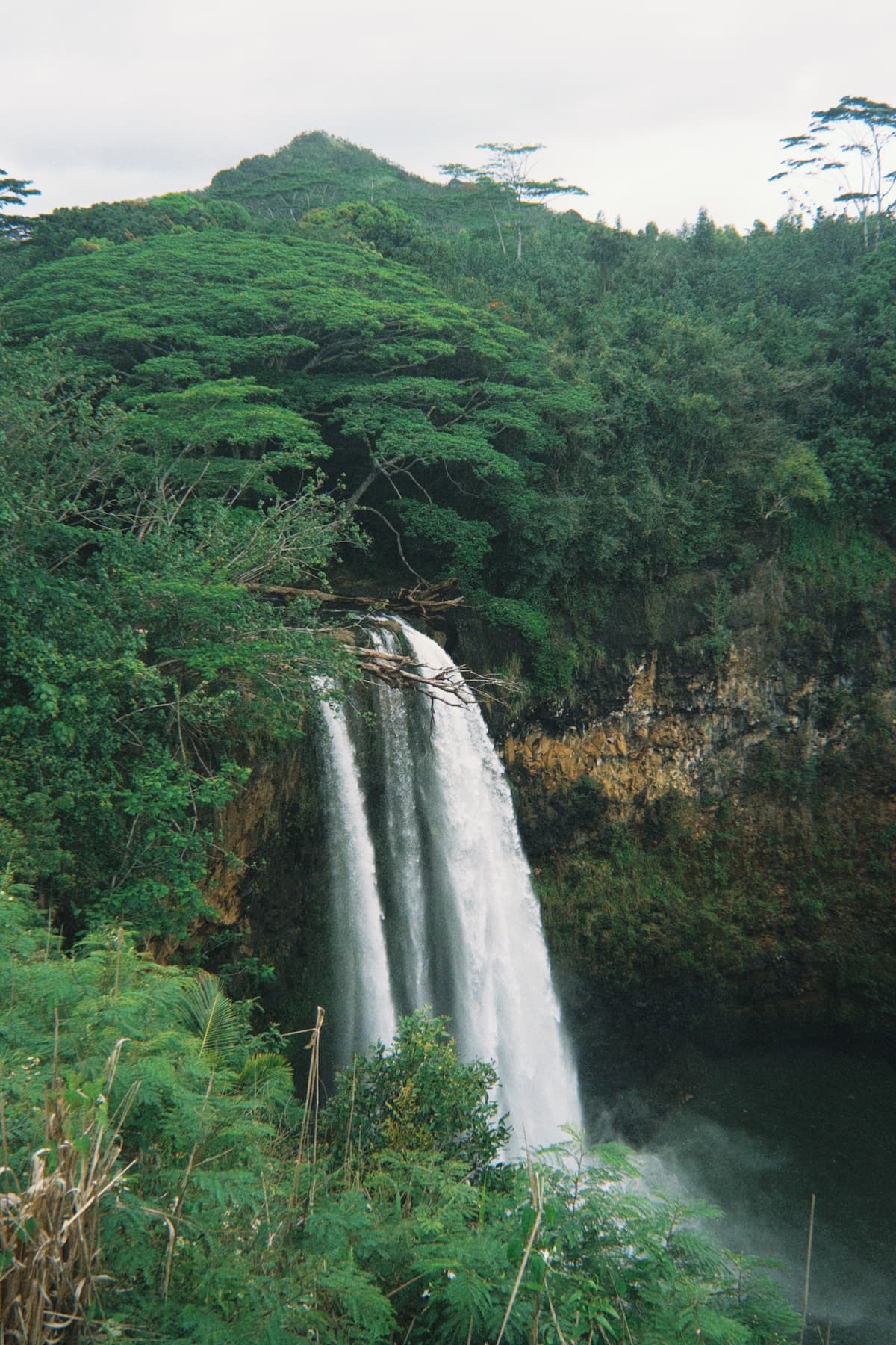 Condo in Princeville · ★4.67 · Studio · 2 beds · 1 private bath - Photo 3