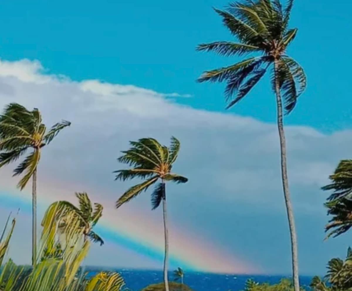 Condo in Lahaina · ★4.95 · Studio · 2 beds · 1 bath - Photo 1