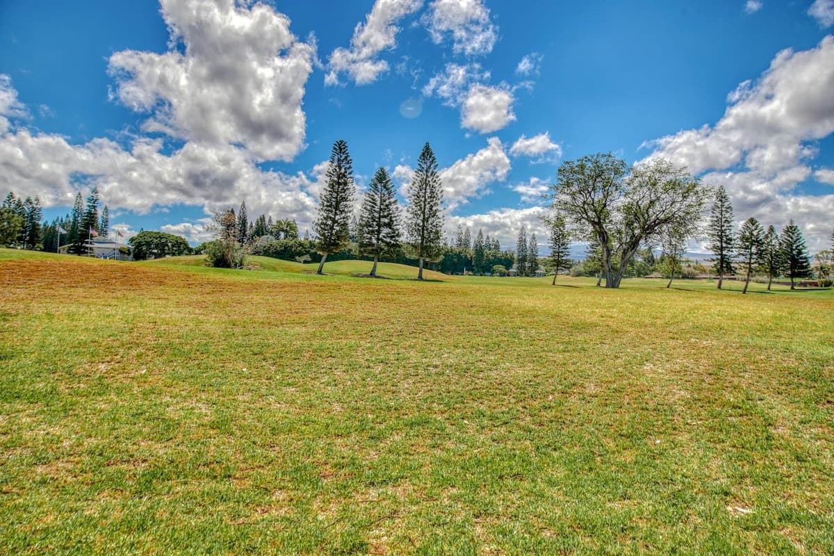Condo in Waikoloa Village · ★4.11 · 2 bedrooms · 3 beds · 2.5 shared baths - Photo 1