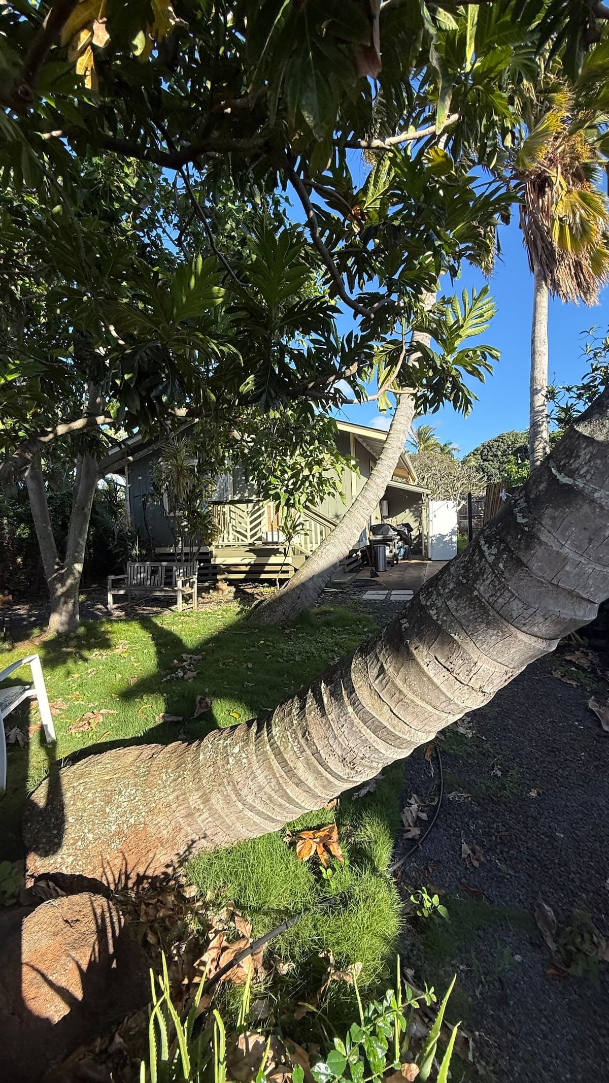 Home in Paia · ★4.68 · 2 bedrooms · 2 beds · 1 bath - Photo 1