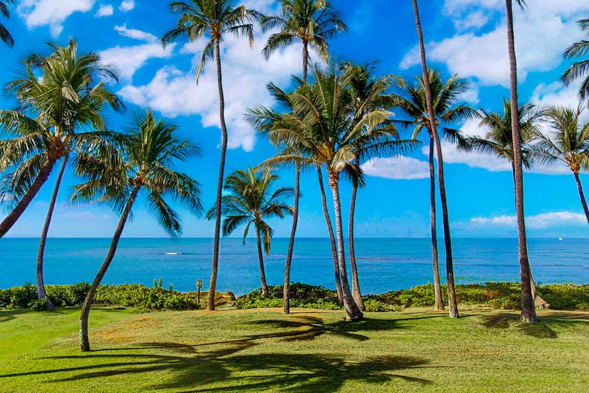 Charming 1BR Hale Kai O Kihei Condo | Pool | Patio - Photo 4