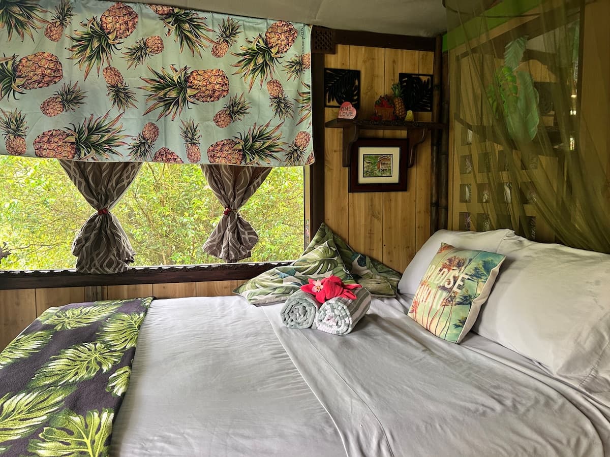 TROPICAL GARDEN OASIS - Photo 1