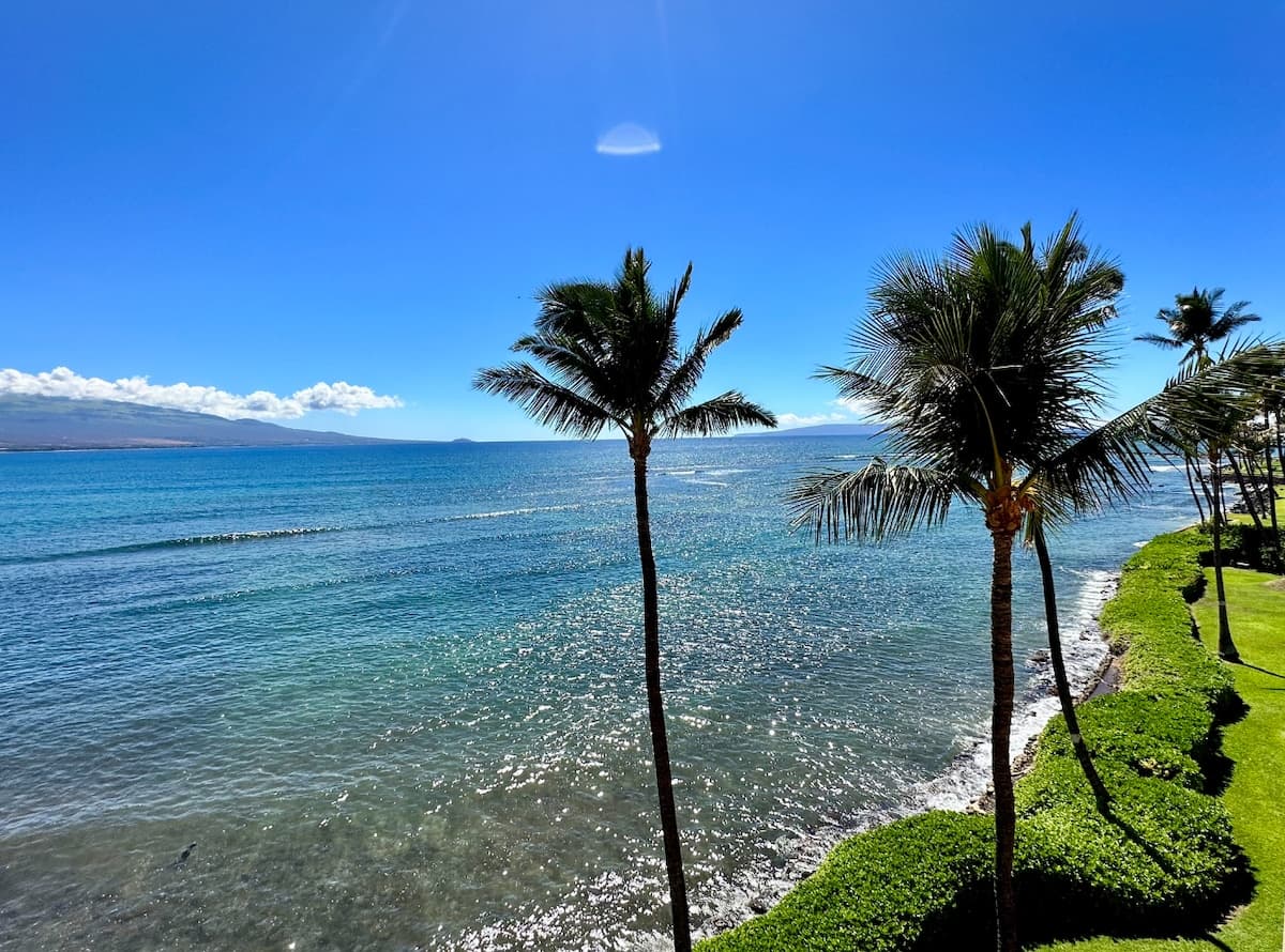 Condo in Wailuku · ★4.83 · 1 bedroom · 1 bed · 1 private bath - Photo 1