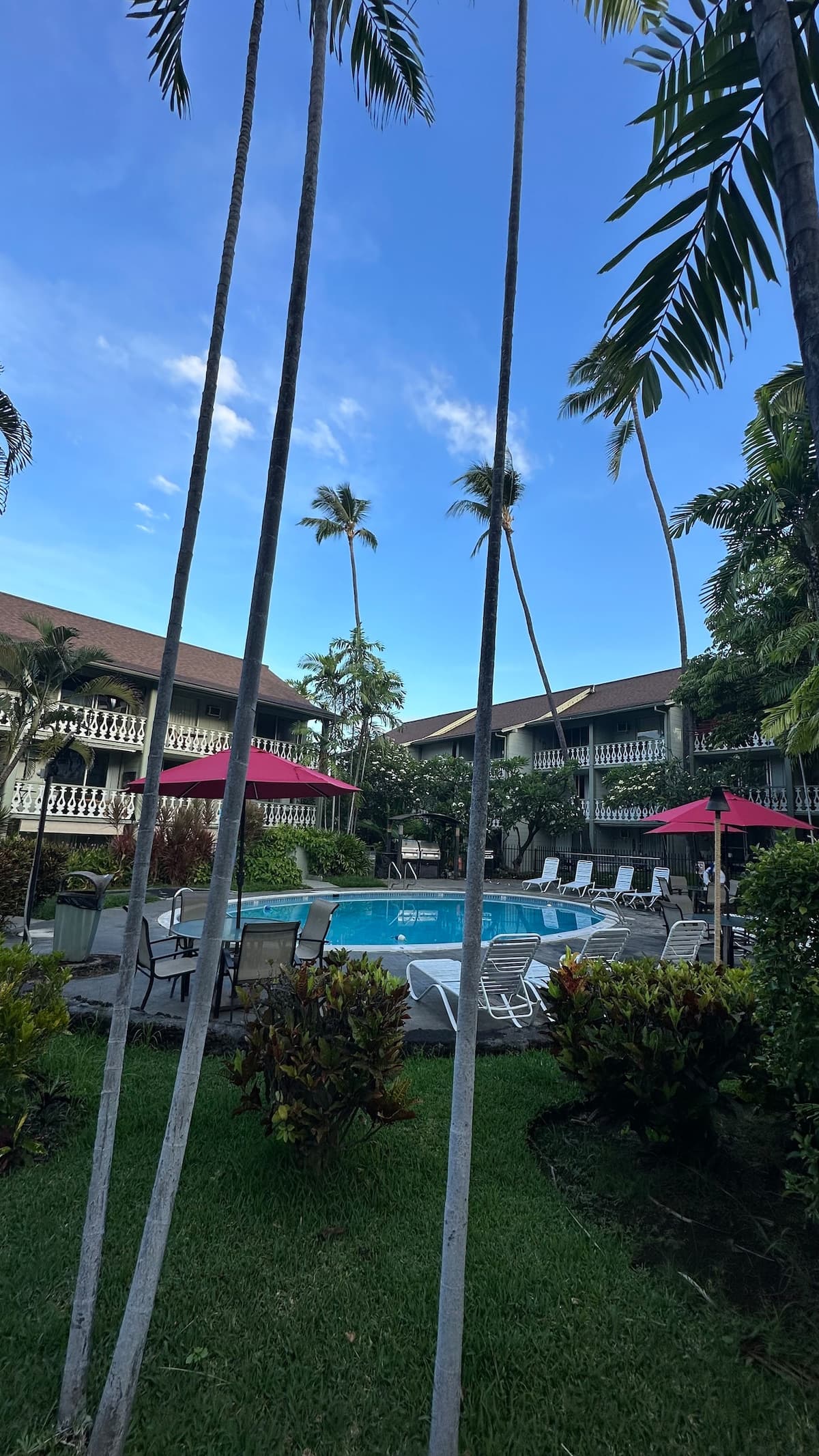 Resort in Kailua-Kona · ★4.67 · Studio · 2 beds · 1 private bath - Photo 2