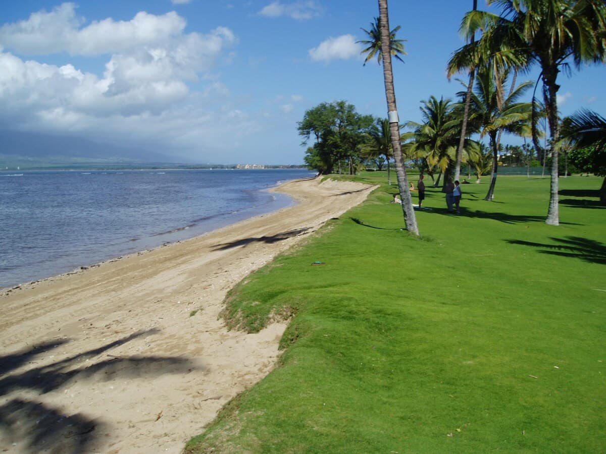 Condo in Kihei · ★4.7 · 2 bedrooms · 4 beds · 2 baths - Photo 2
