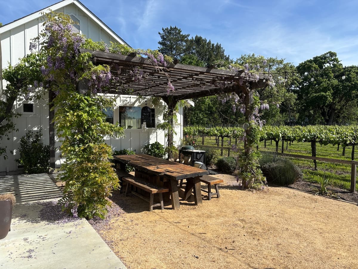Vineyard Retreat on Sonoma's East Side - Photo 1