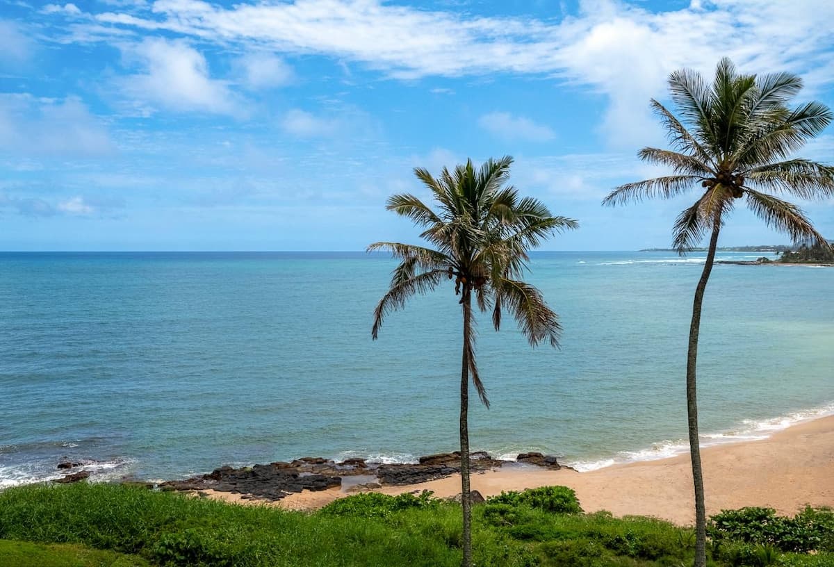 Condo in Kapaa · ★4.76 · 1 bedroom · 1 bed · 1 bath - Photo 2