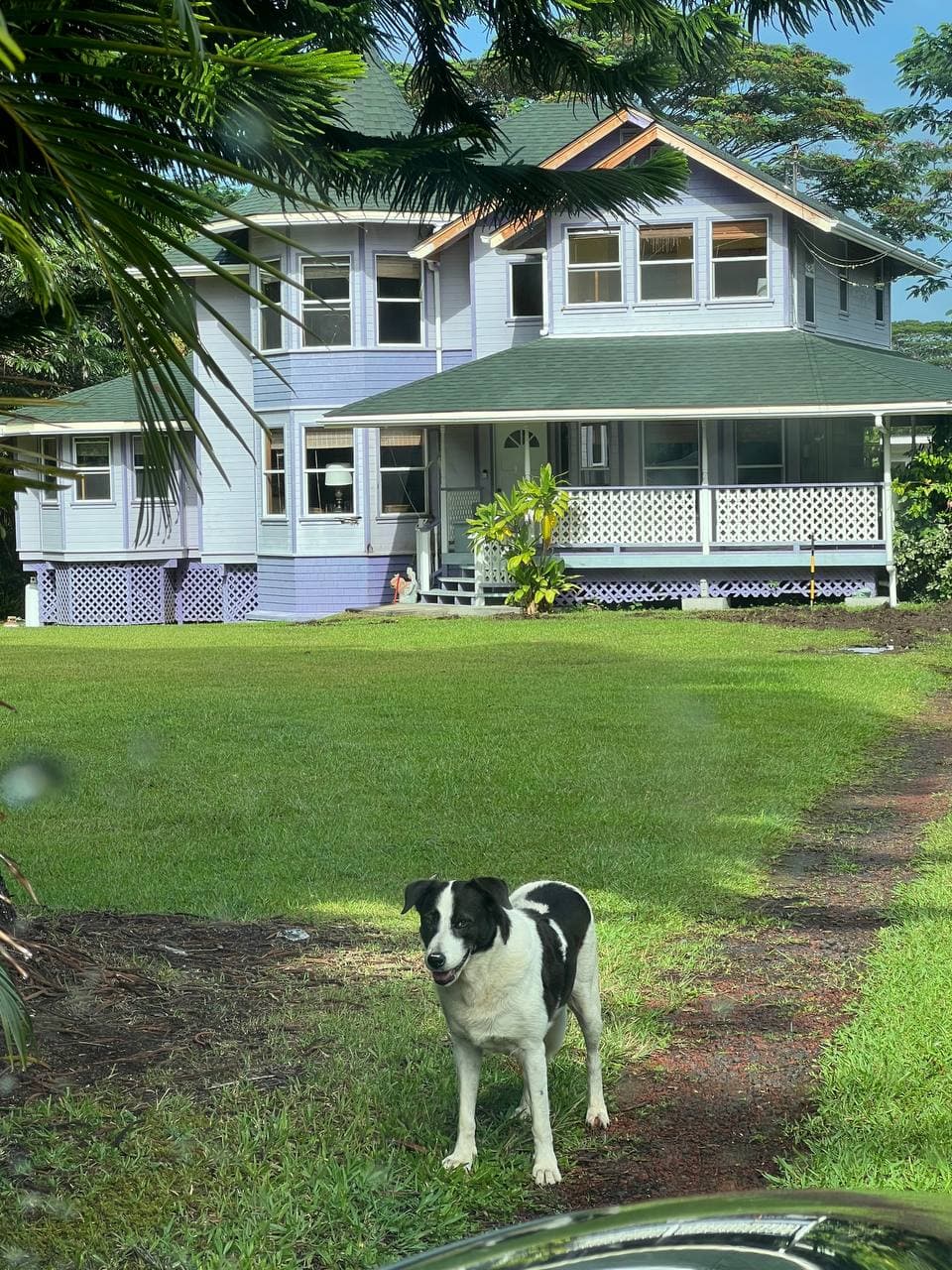 Home in Keaau · ★5.0 · 5 bedrooms · 7 beds · 4 private baths - Photo 1