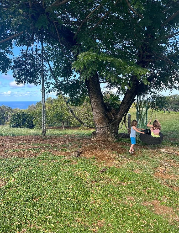 Cabin in Hawaii County · ★4.85 · 2 bedrooms · 3 beds · 1.5 private baths - Photo 4