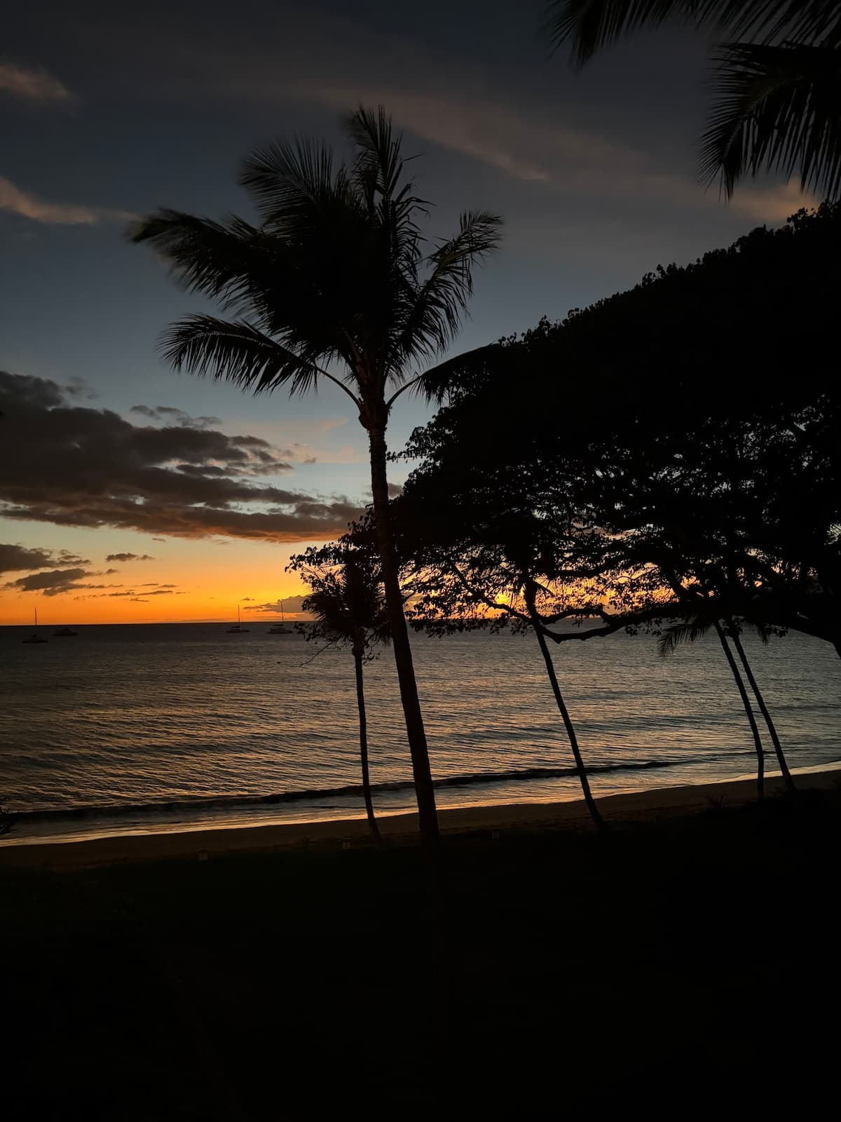 Beachfront Bliss on Sugar Beach - Photo 2