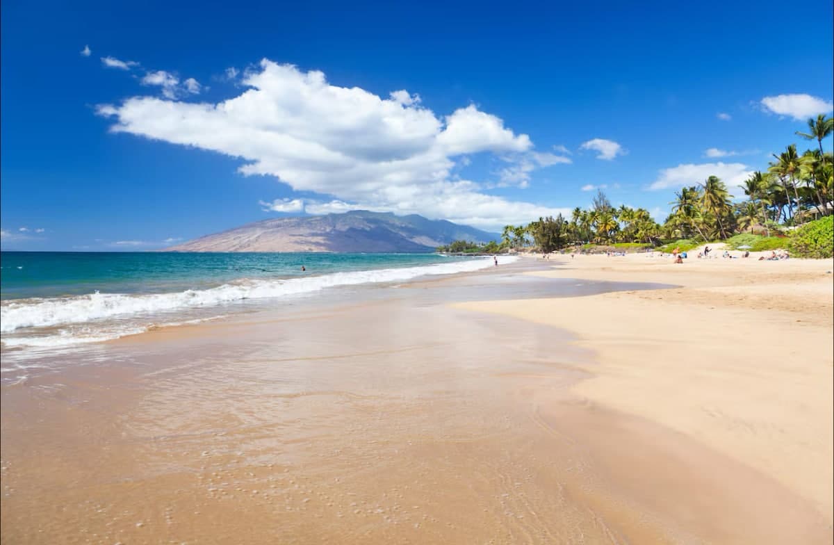 Condo in Kihei · ★4.78 · 1 bedroom · 2 beds · 1 private bath - Photo 2