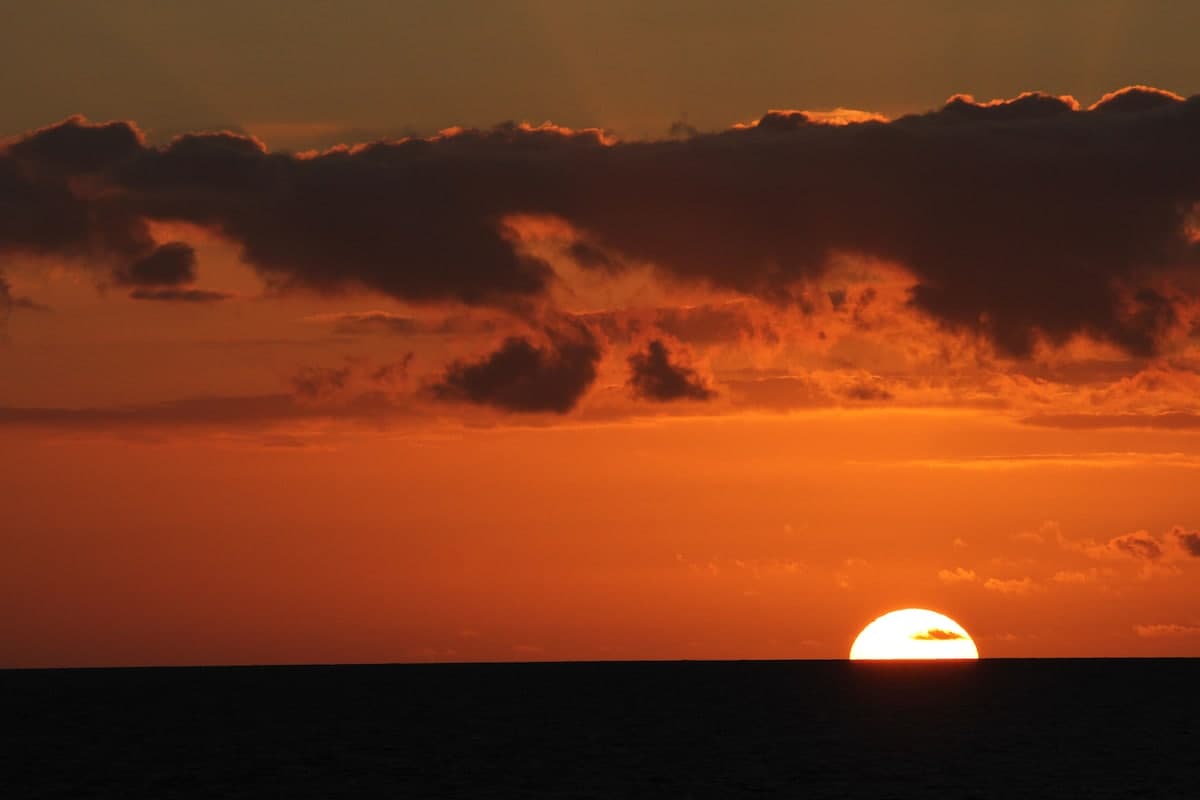 Condo in Kihei · ★4.78 · 1 bedroom · 2 beds · 1 private bath - Photo 4
