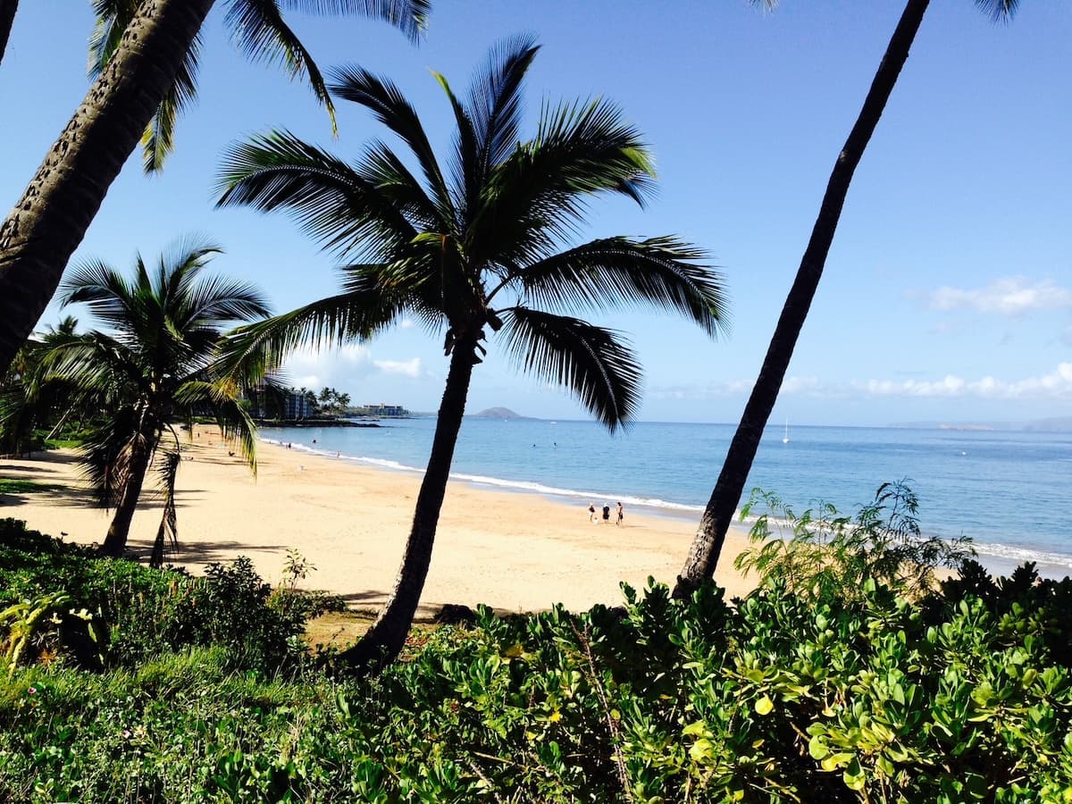 Condo in Kihei · ★4.78 · 1 bedroom · 2 beds · 1 private bath - Photo 3