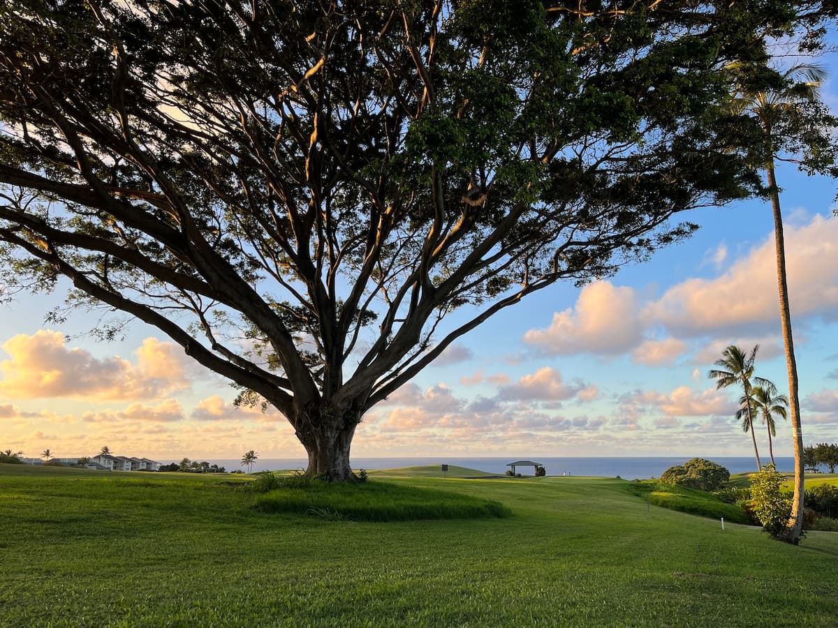 Townhouse in Princeville · ★4.93 · 2 bedrooms · 4 beds · 2 baths - Photo 1